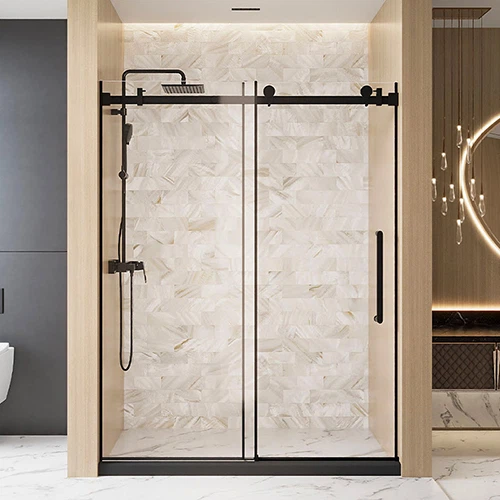 Shower door
